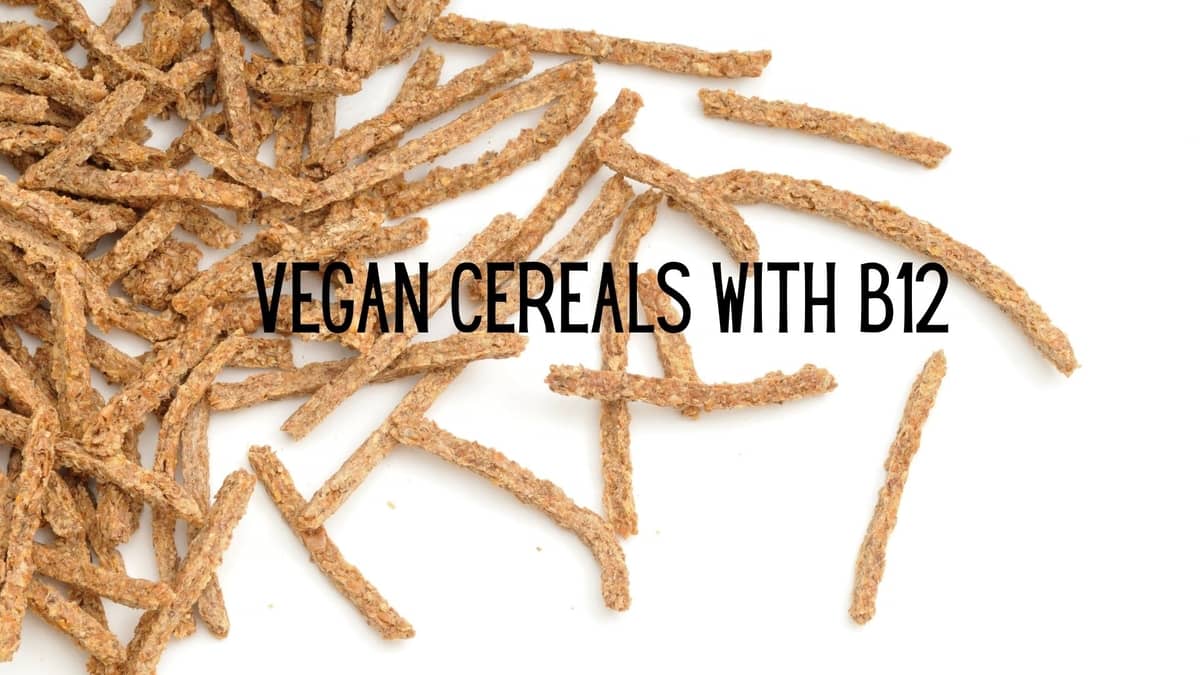 Vegan Cereals With B12