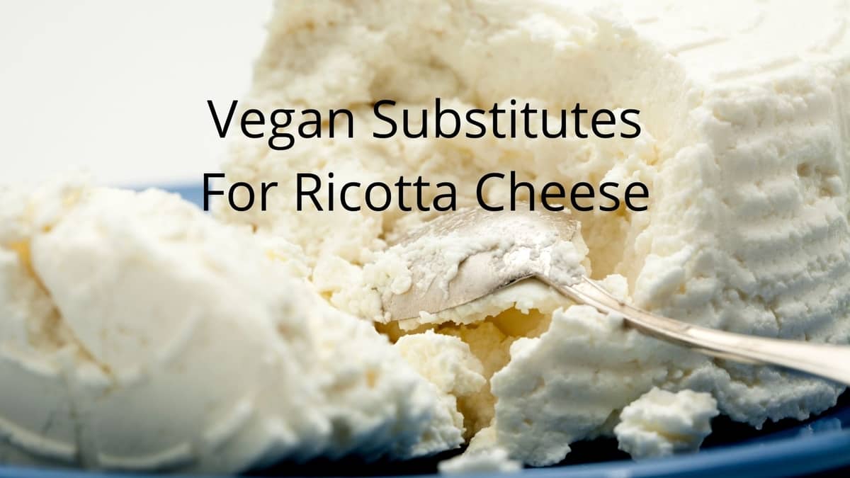 Vegan Substitutes For Ricotta Cheese